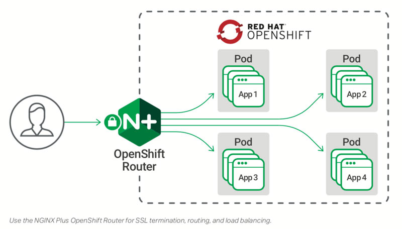 nginx plus